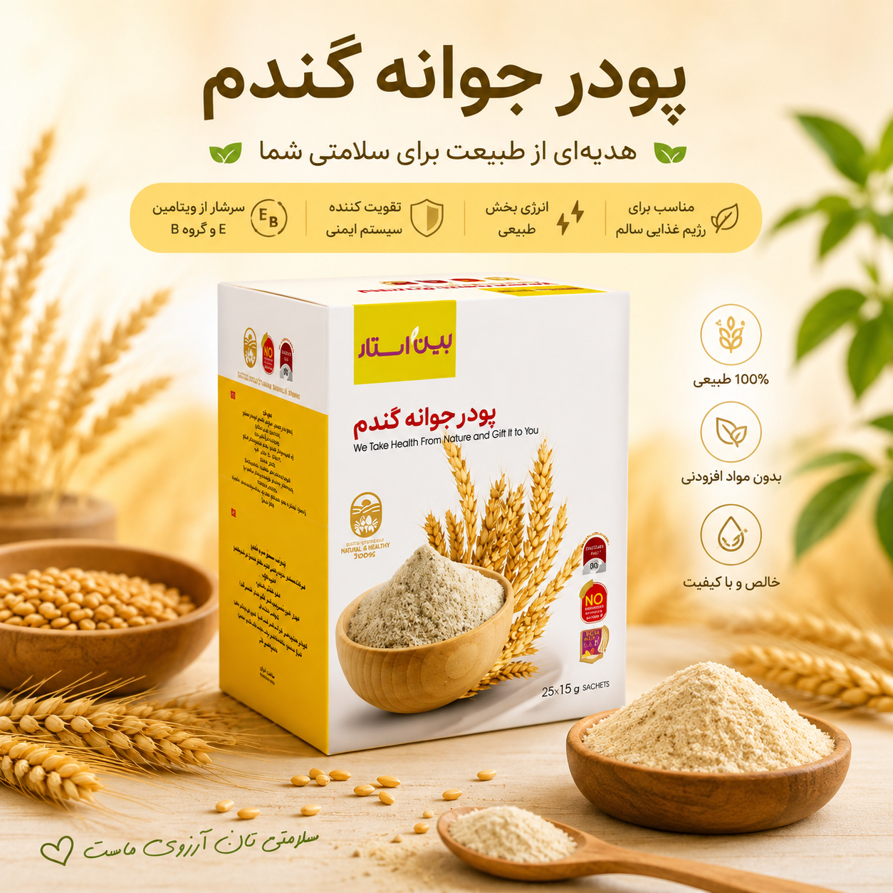 پودر جوانه گندم | مغذی و سرشار از مواد طبیعی